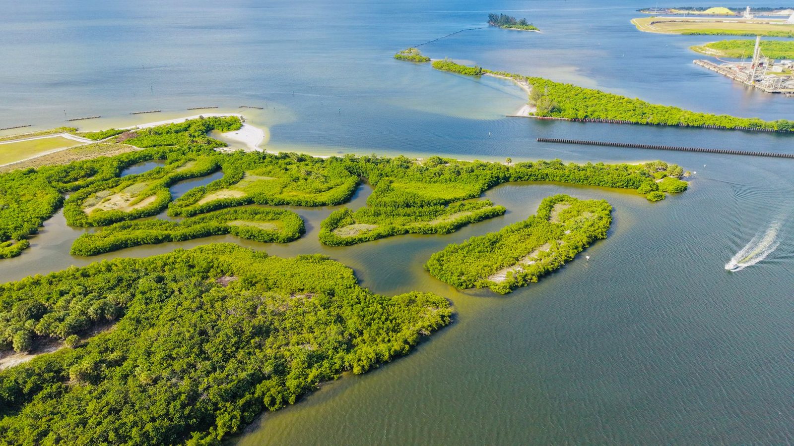 Vista aérea de islas verdes y humedales en una bahía tranquila de Florida.
